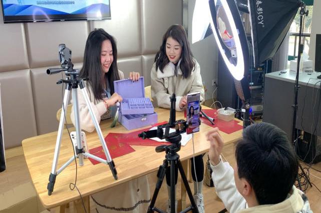 专业人员进行网络创业指导